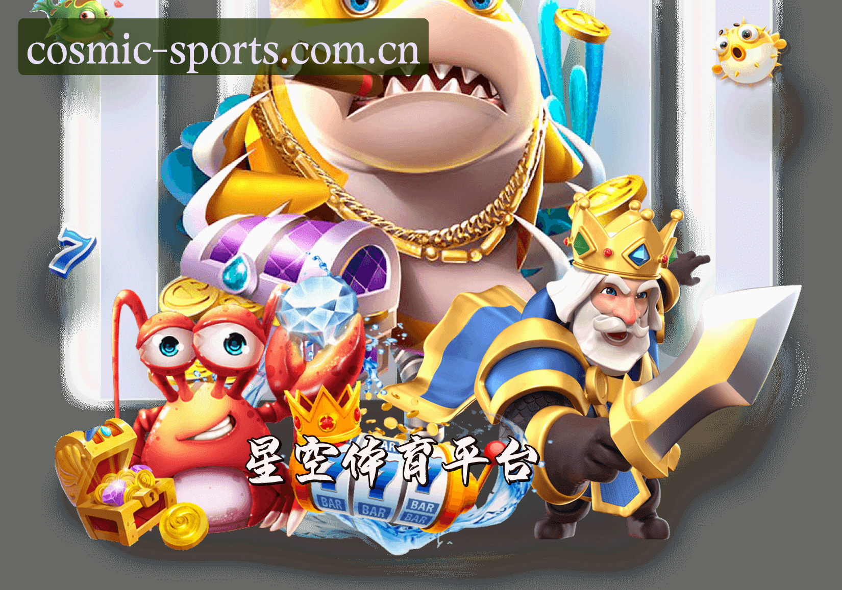 星空体育APP「中国」官方网站 - 移动端